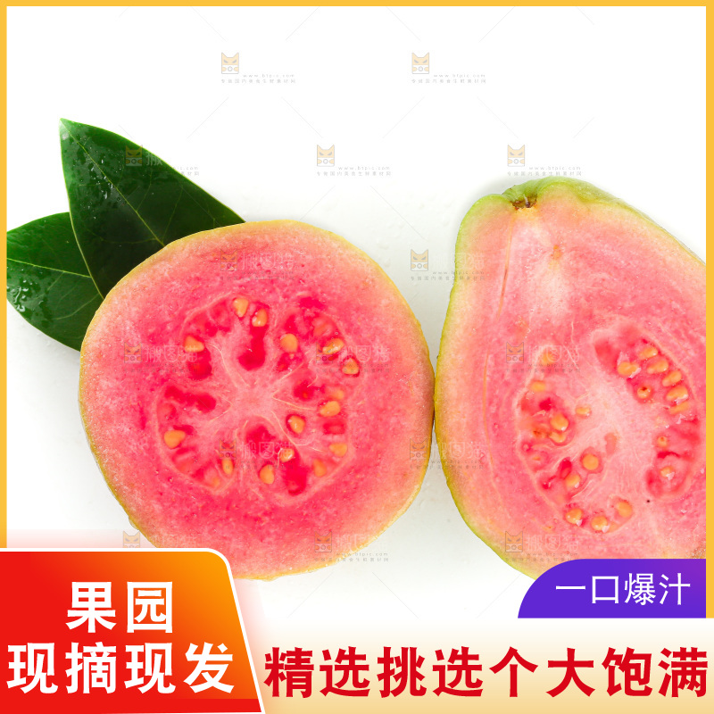 白底上的红心芭乐
