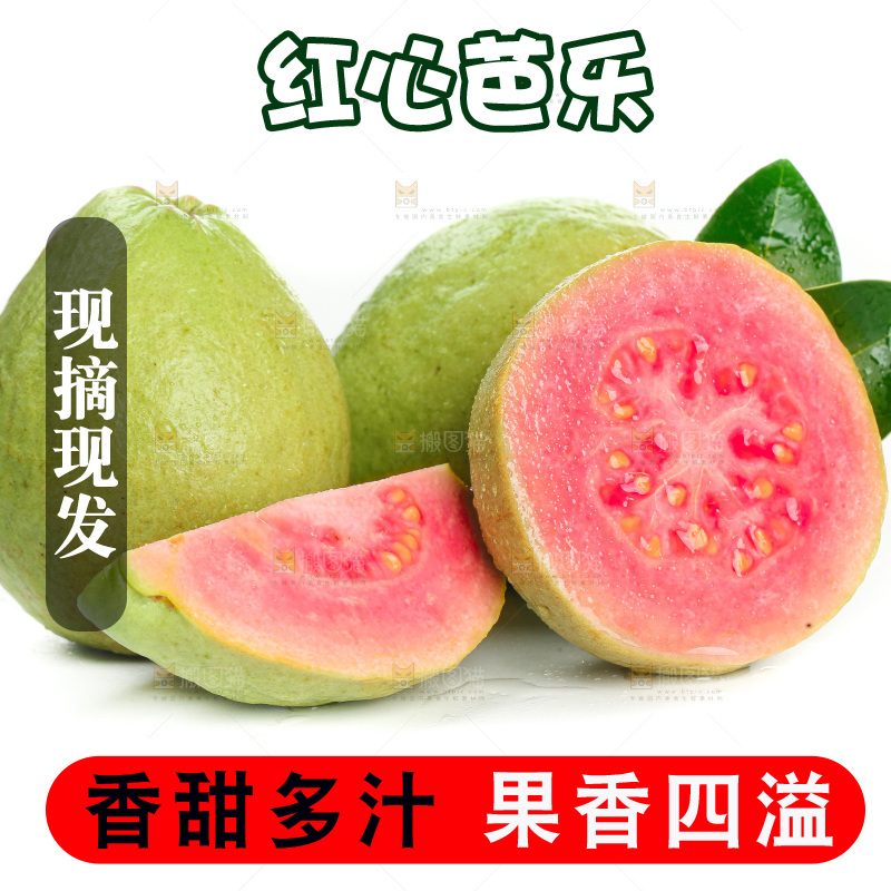 白底上的红心芭乐