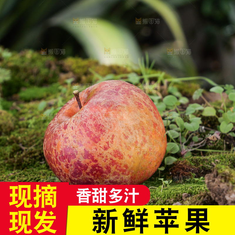 深底上的丑苹果