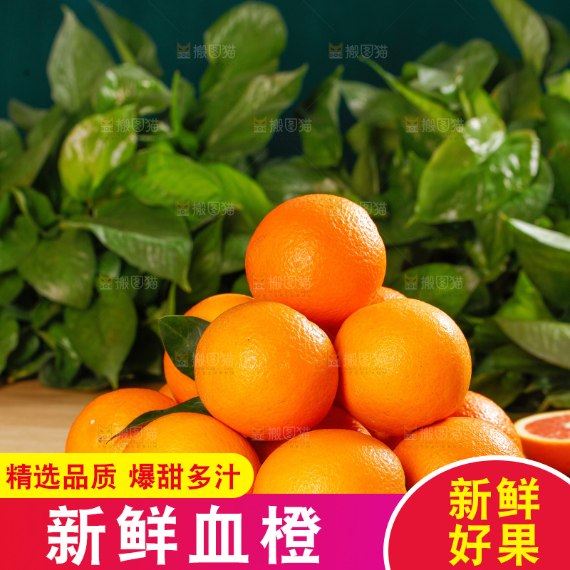 浅底上的血橙