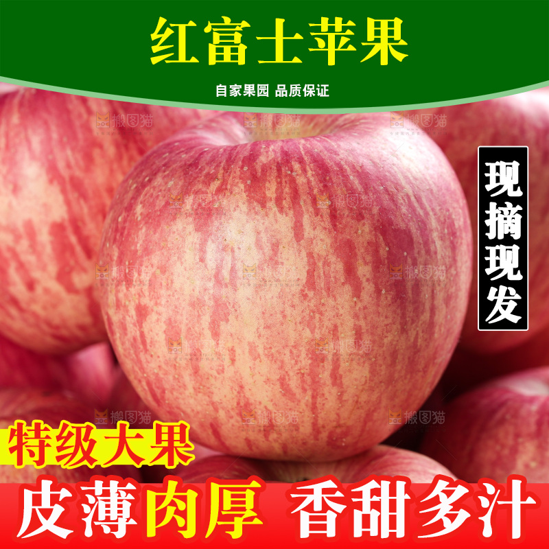 浅底上的红富士苹果
