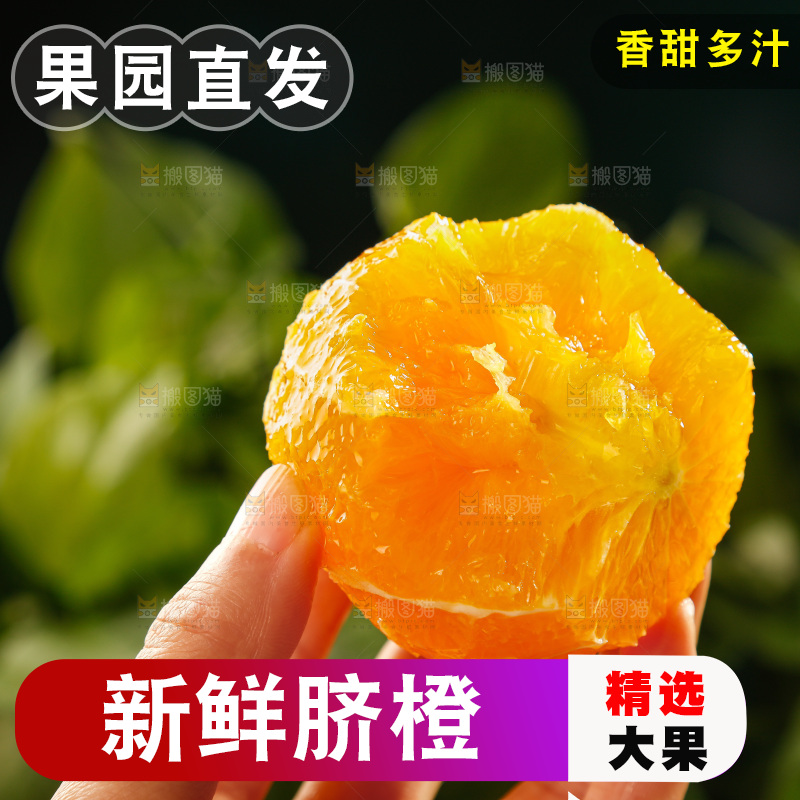 深底上的脐橙