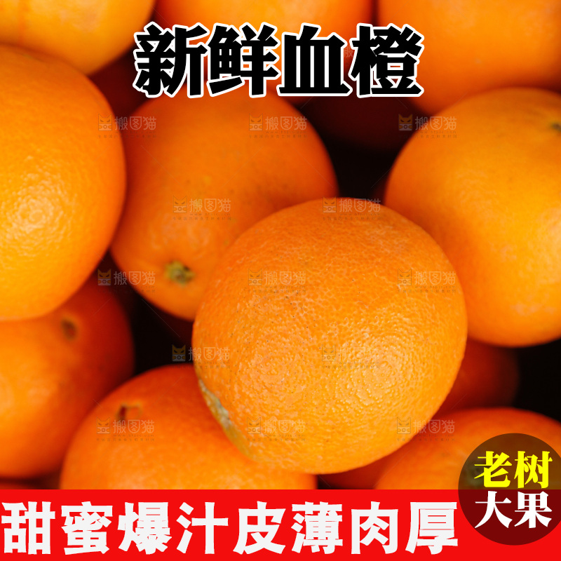 新鲜血橙