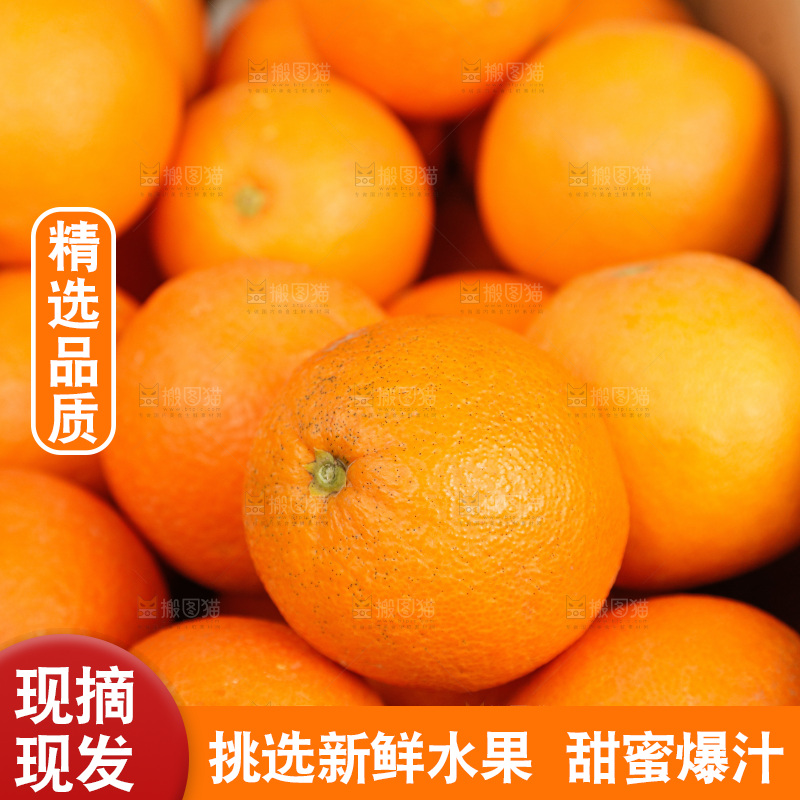 新鲜血橙