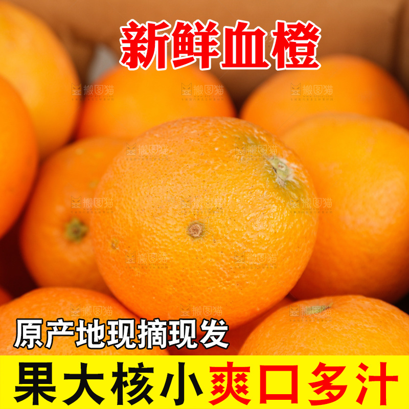 新鲜血橙