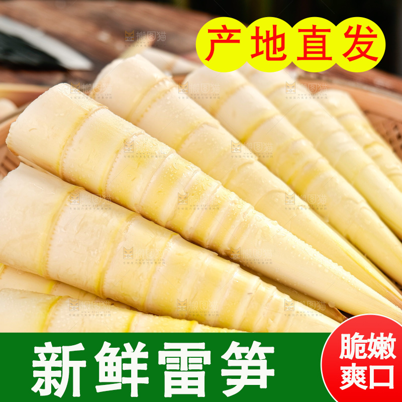 深底上的雷笋