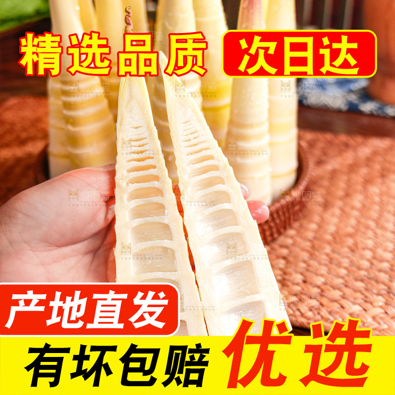 深底上的雷笋