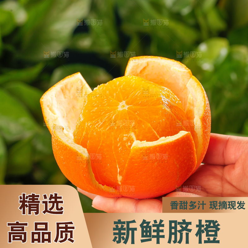 深底上的脐橙