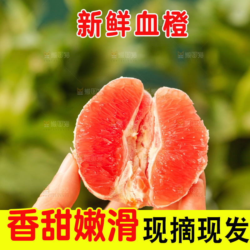 新鲜血橙