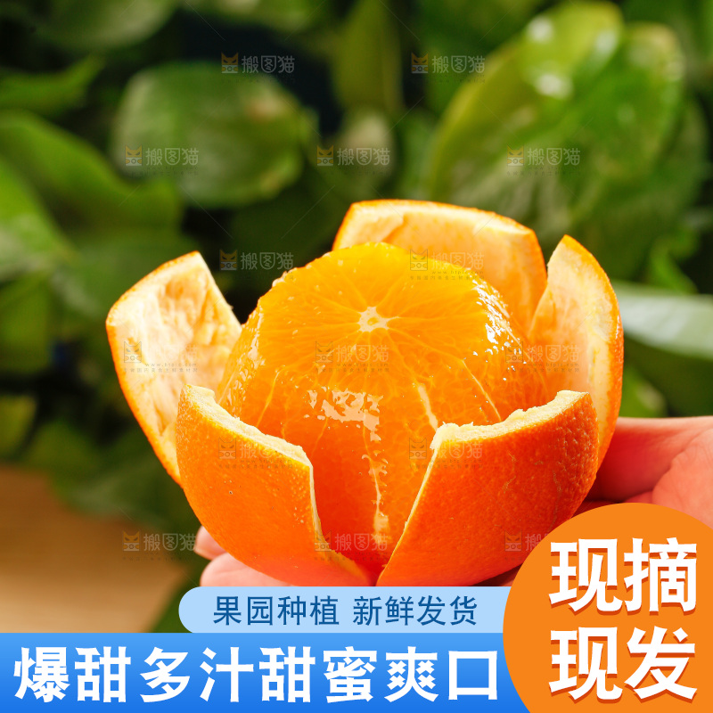 深底上的脐橙