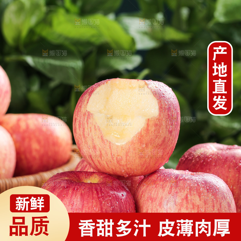 浅底上的红富士苹果