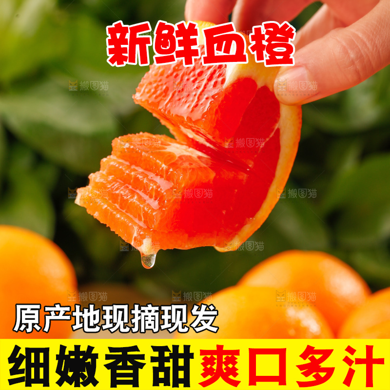 浅底上的血橙