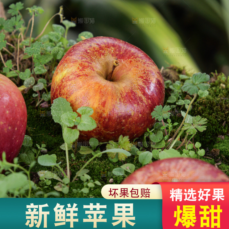 深底上的丑苹果