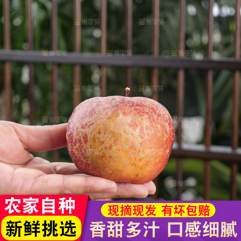 深底上的丑苹果