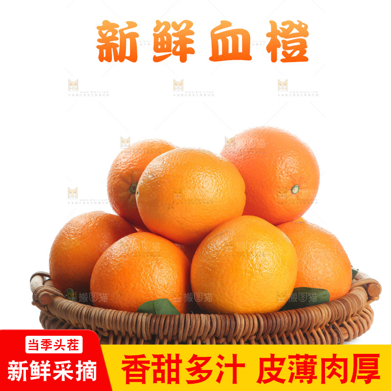 白底上的血橙