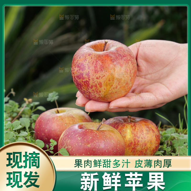 深底上的丑苹果