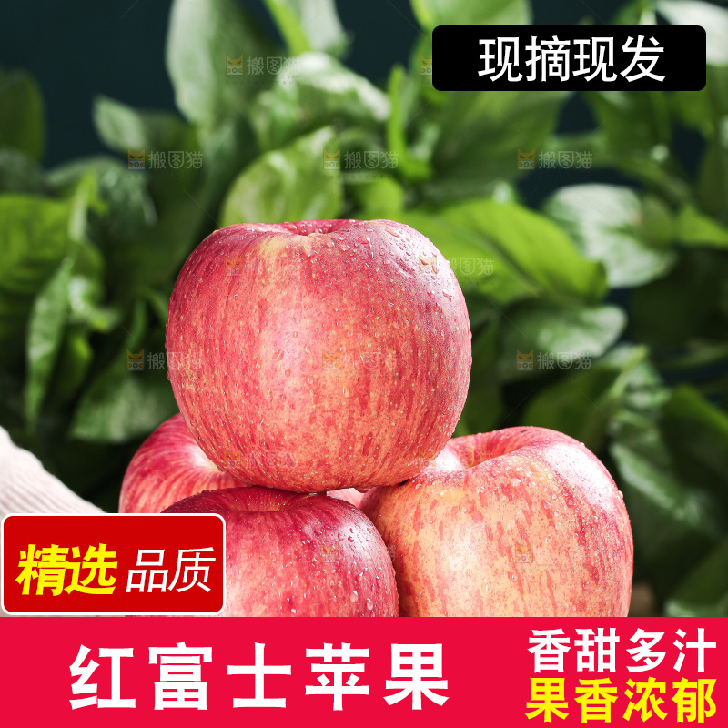 浅底上的红富士苹果