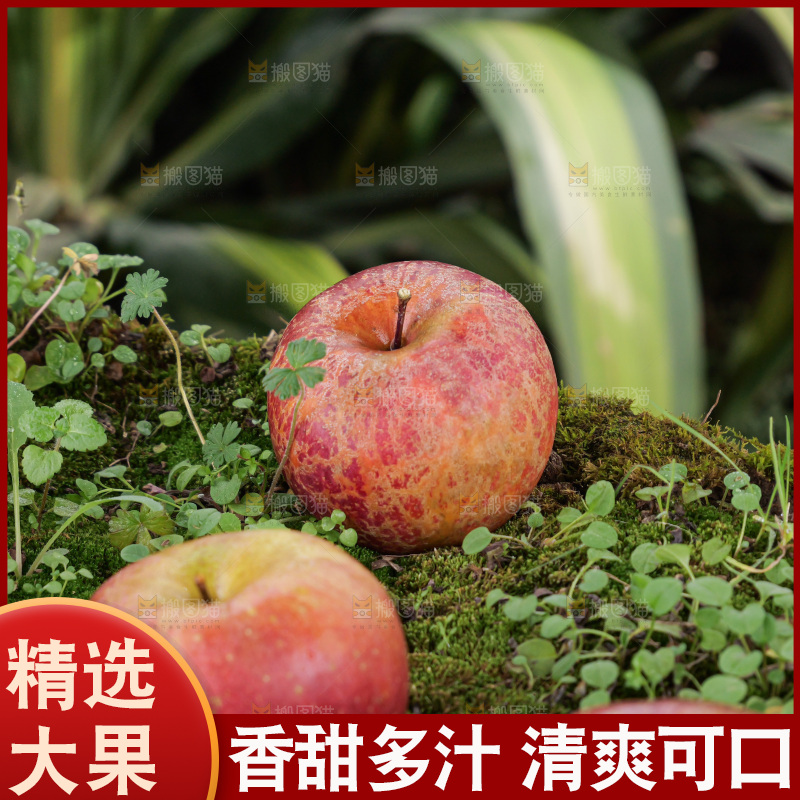 深底上的丑苹果