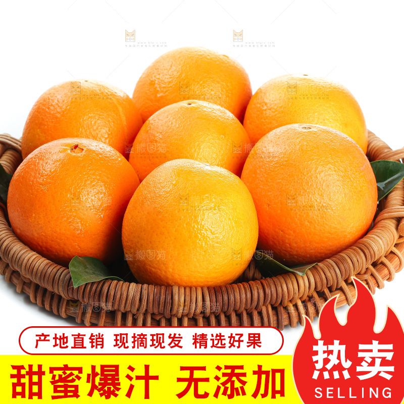 白底上的血橙