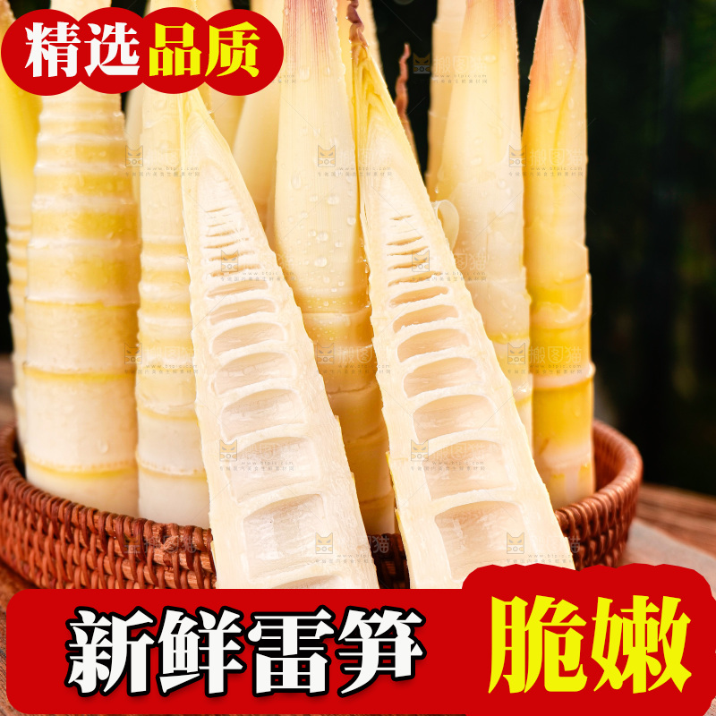 深底上的雷笋