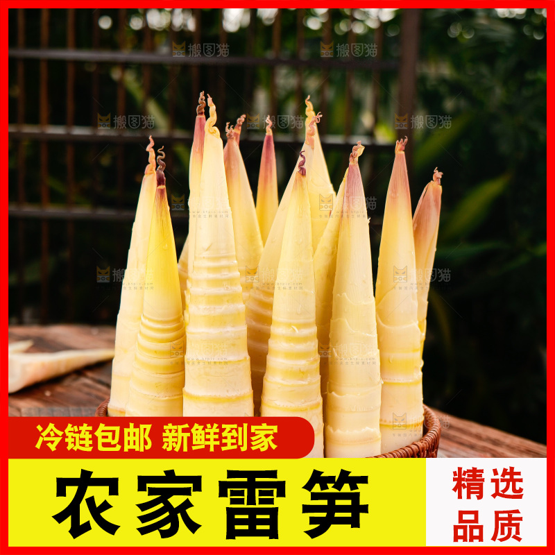 深底上的雷笋