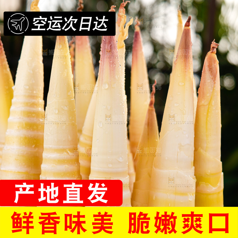 深底上的雷笋