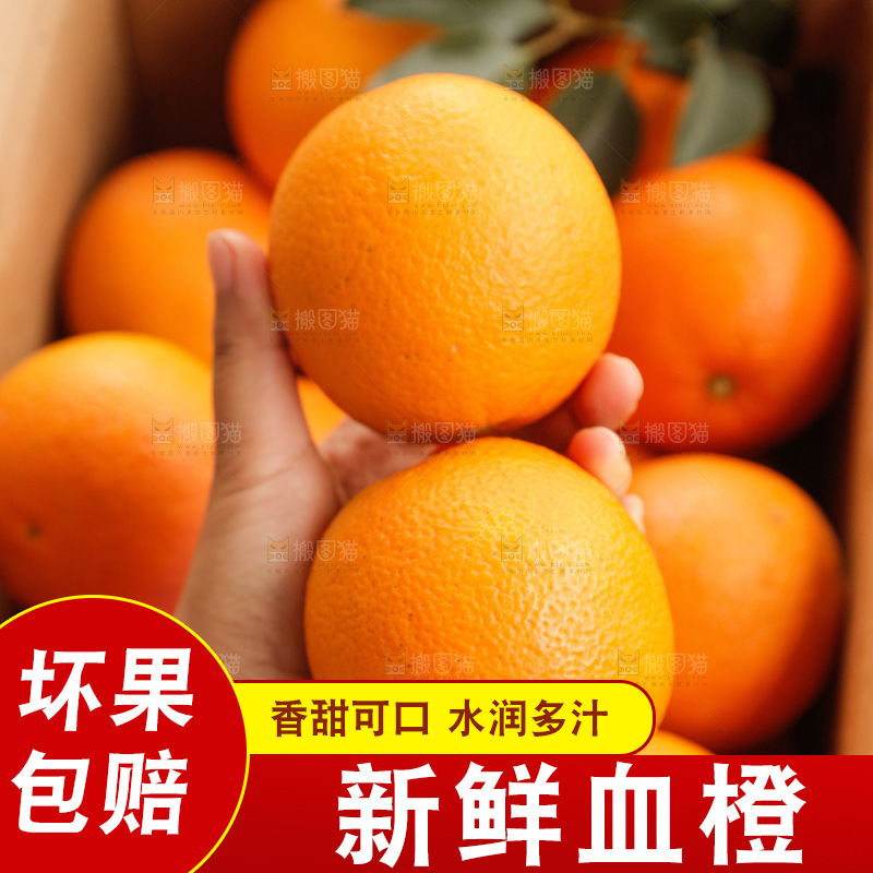 新鲜血橙