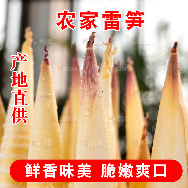 深底上的雷笋