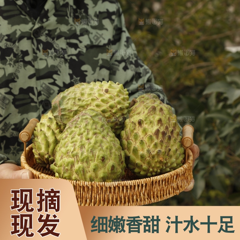 筐子里装的释迦果