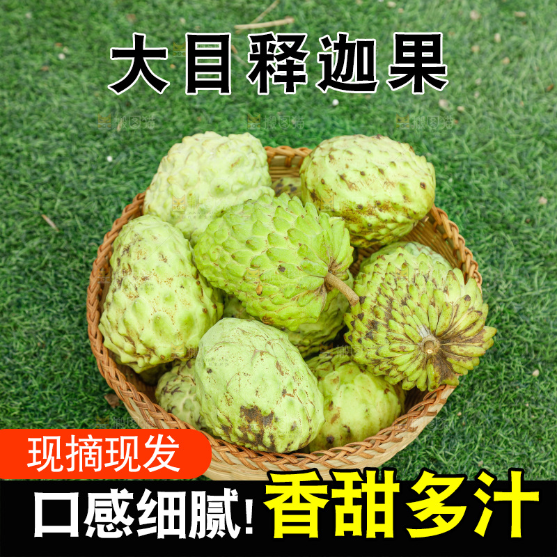 筐子里装的释迦果