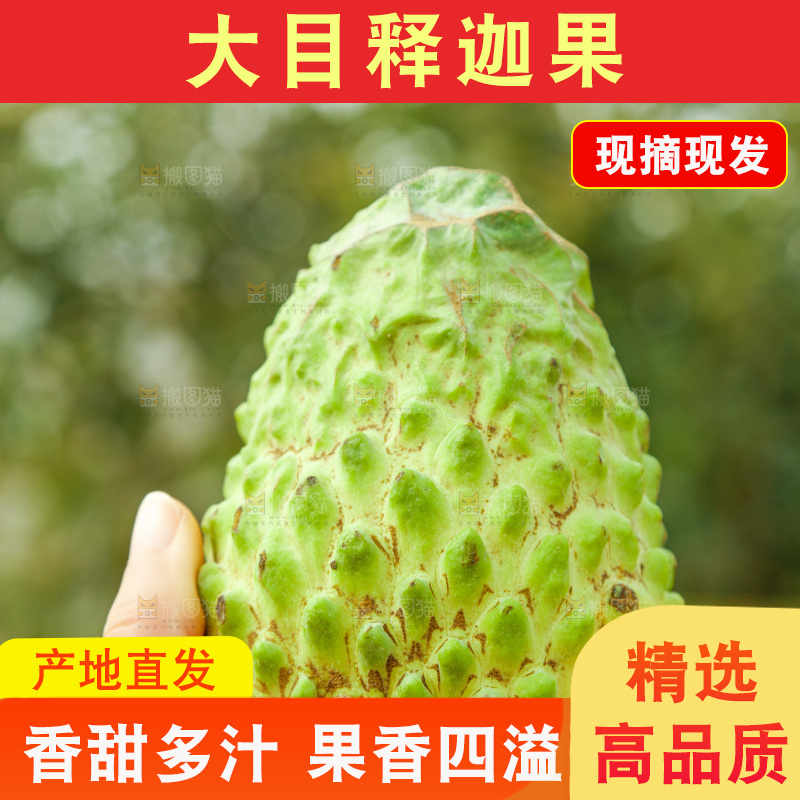 筐子里装的释迦果