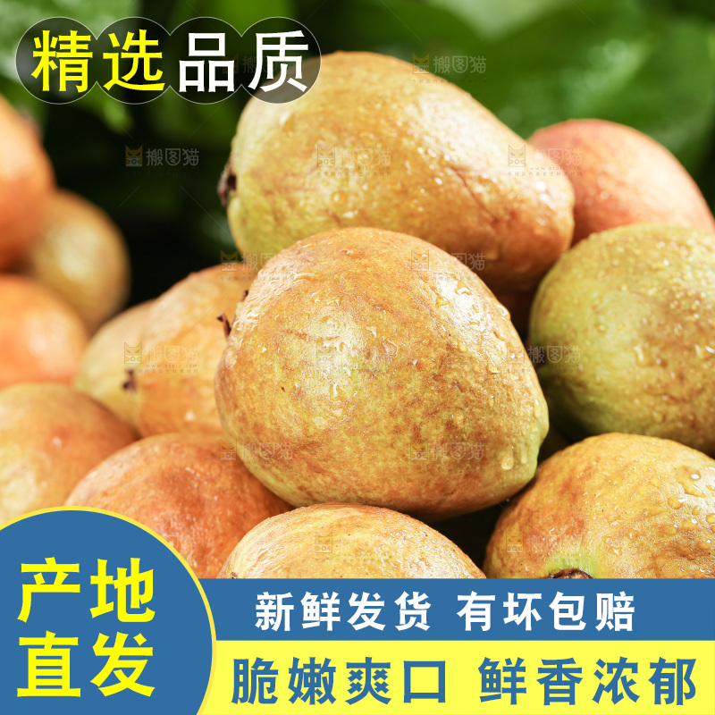 木底上的红心芭乐