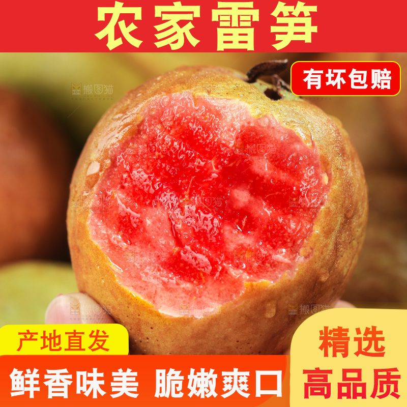 木底上的红心芭乐