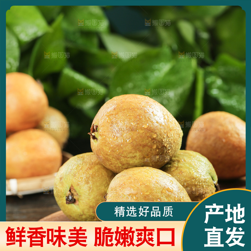 木底上的红心芭乐
