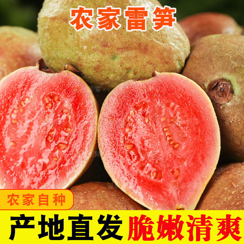 木底上的红心芭乐