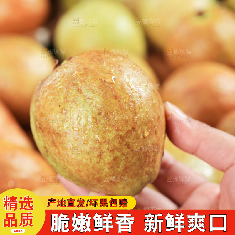 木底上的红心芭乐