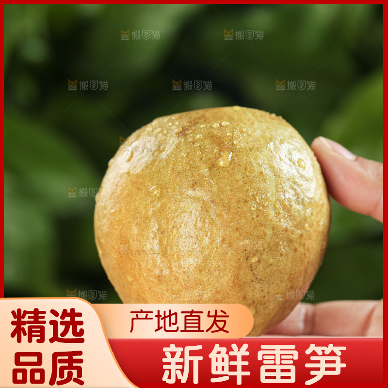 木底上的红心芭乐