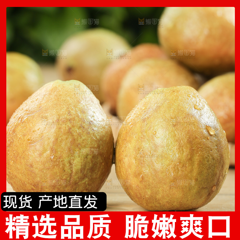 木底上的红心芭乐