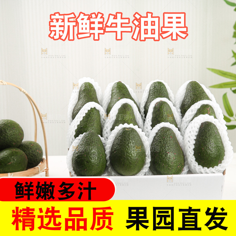 浅底上的牛油果