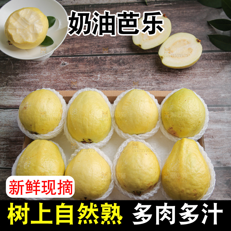 深底上的白心奶油芭乐