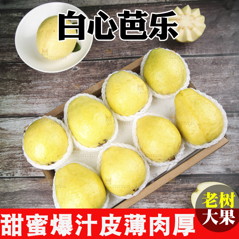 深底上的白心奶油芭乐
