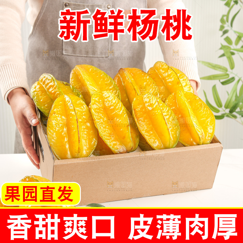 浅底上的杨桃