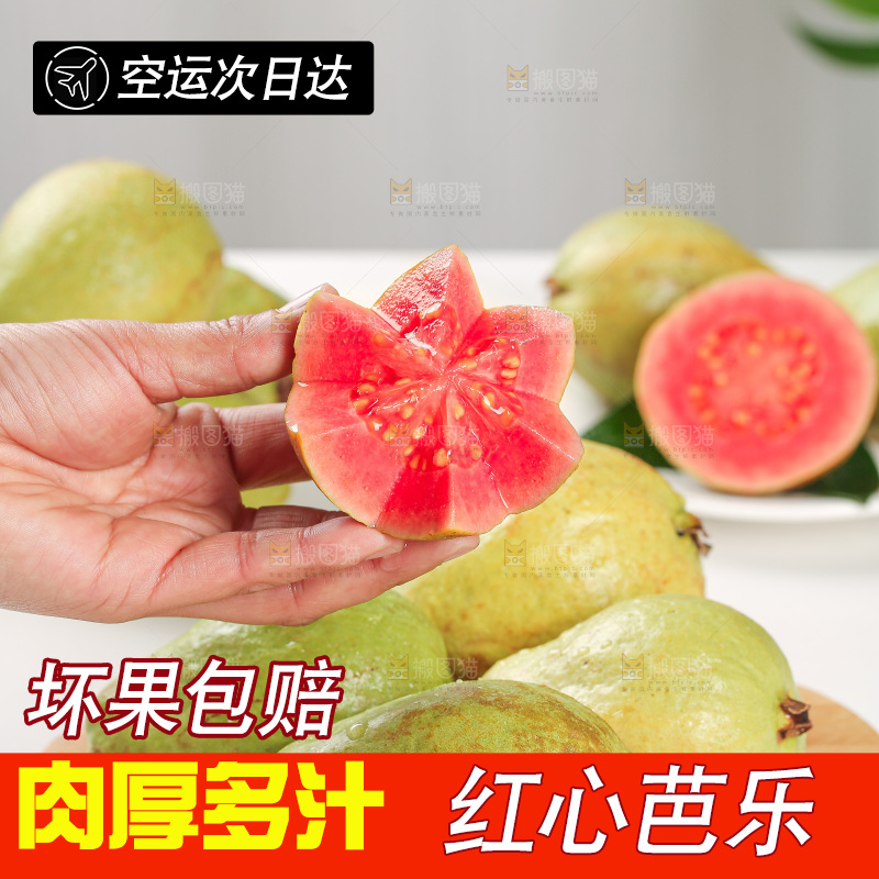 浅底上的红心芭乐