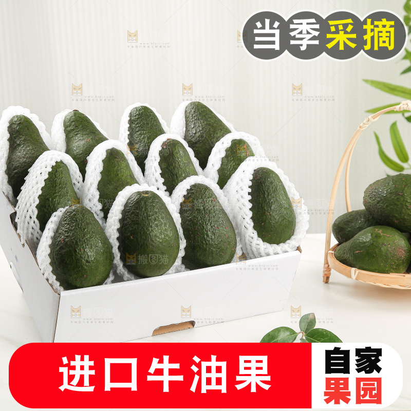 浅底上的牛油果