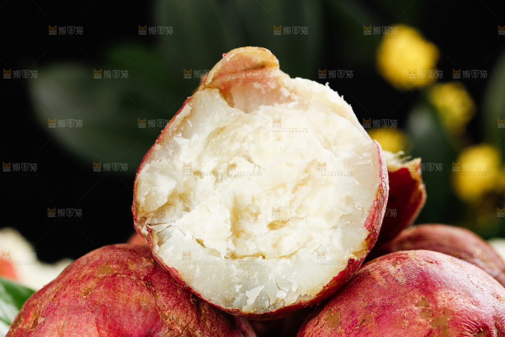白心板栗薯