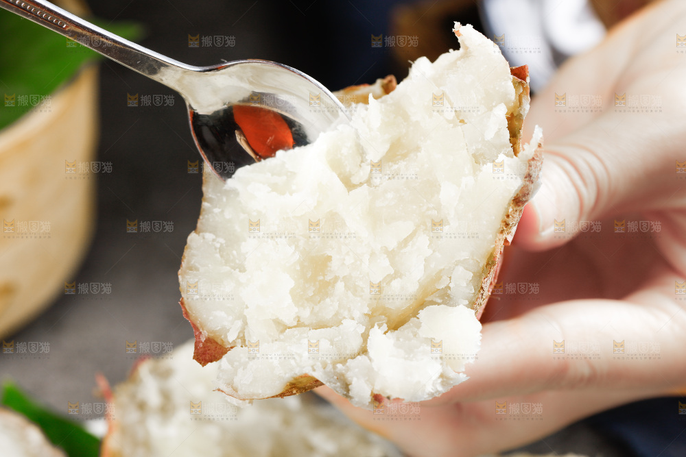 白心板栗薯