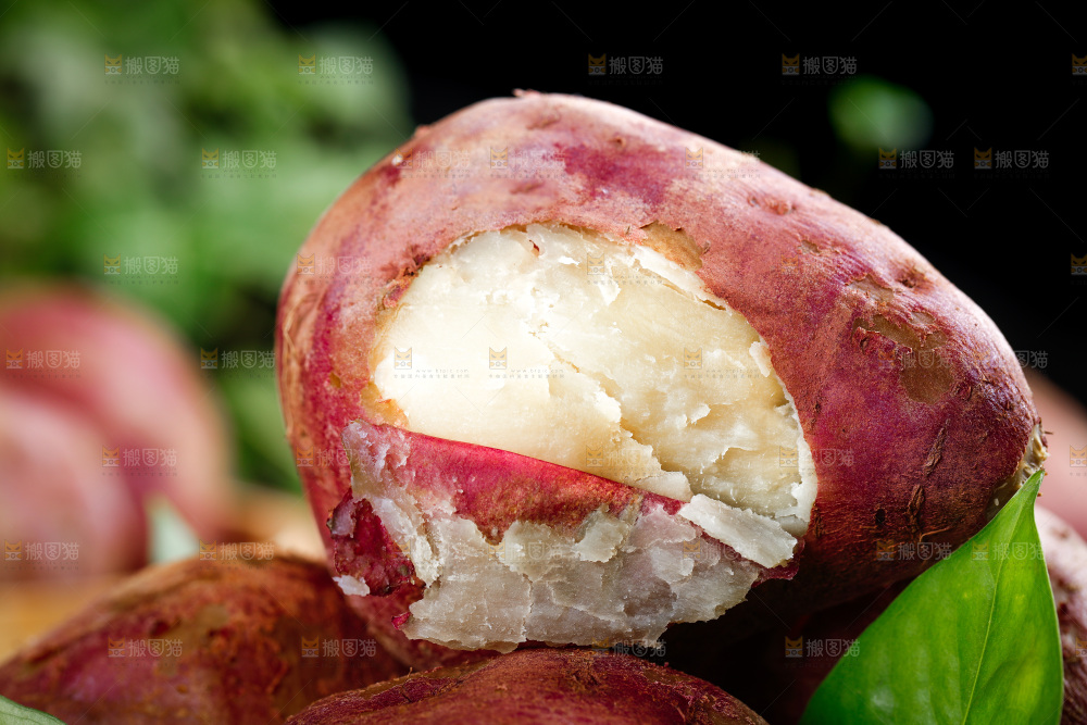 白心板栗薯