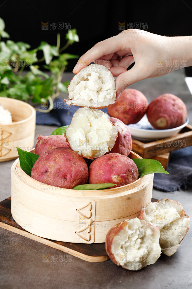 白心板栗薯