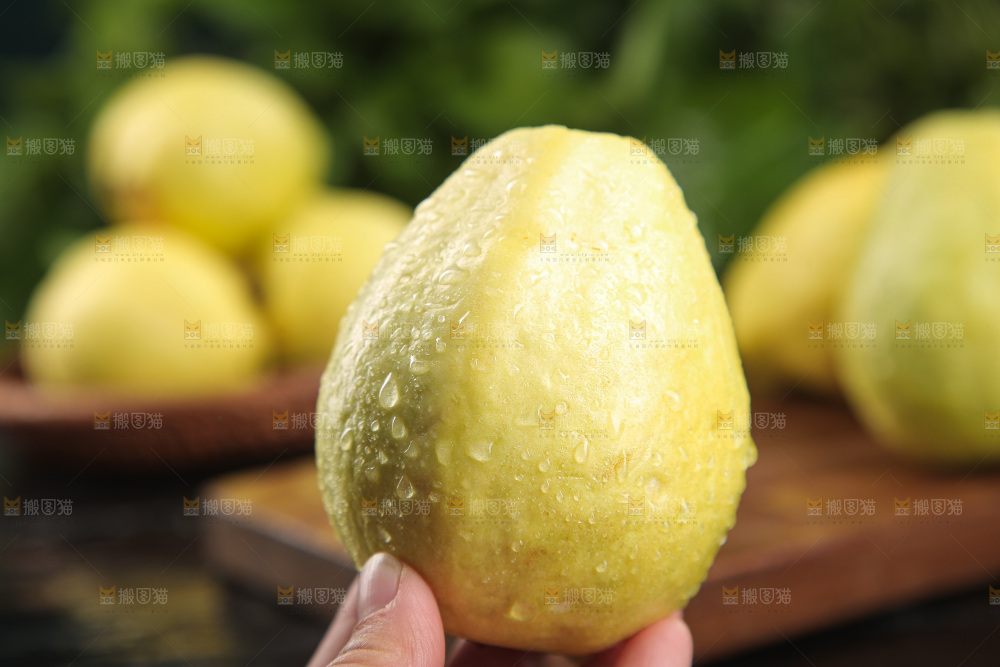 深底上的奶油芭乐