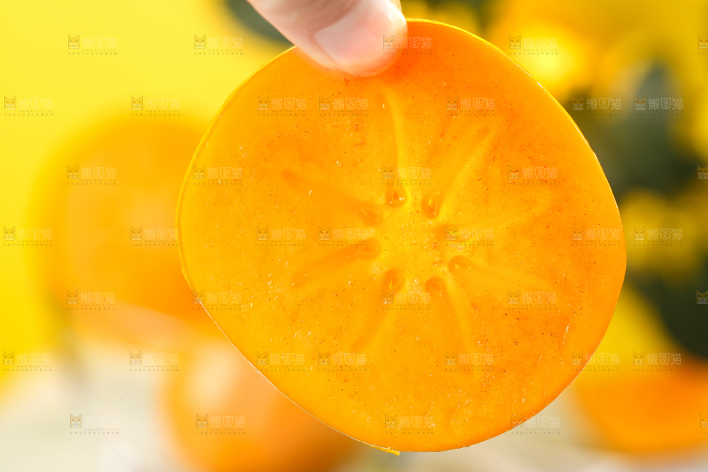 浅底上的磨盘柿子